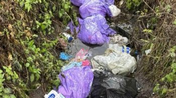 У Малехові фотопастка зафіксувала жінку, яка викинула сміття біля річки