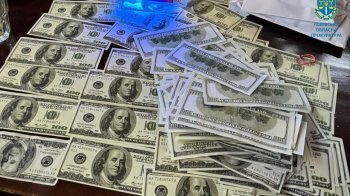 Дві львів’янки за 20 тис. доларів допомагали з уникненням мобілізації