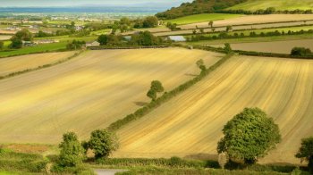 Буській громаді повернули земельну ділянку площею 30 га