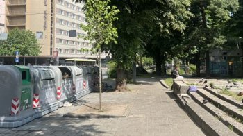 У Львові на проспекті Черновола проведуть дератизацію території