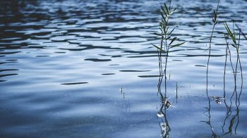 На Самбірщині 60-річний чоловік втонув у річці