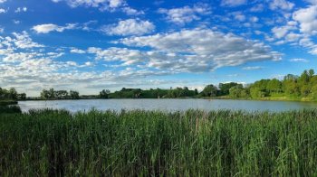 Перевірка якості води у водоймах Львівщини: у яких озерах було небезпечно купатися
