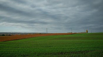 На Львівщині суд розірвав договір оренди комунальний землі через борг