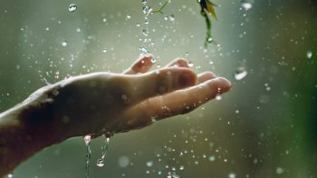 Заморозки і дощ: як закінчиться робочий тиждень у Львівській області