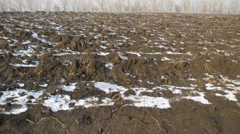 У громадянина Росії конфіскували майже 2 га землі на Львівщині