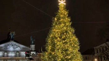 У центрі Львова засвітили головну 14-метрову ялинку міста