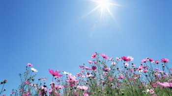 У Львові та області синоптики прогнозують до 24 градусів тепла