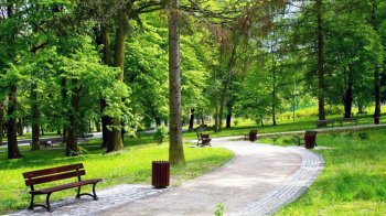 Львівським паркам виділили понад 30 мільйонів: кому і на що