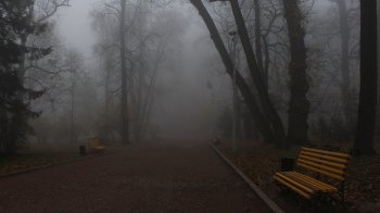 Погода у Львові та області 5 листопада: хмарно та туман