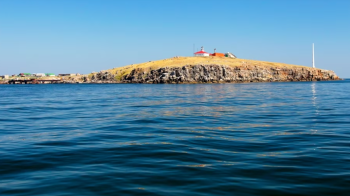 Українська розвідка висміяла Росію за удар окупантів по Зміїному