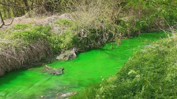 У Львові в річці Зубрі зафіксували забруднення, характерне для каналізаційних стоків