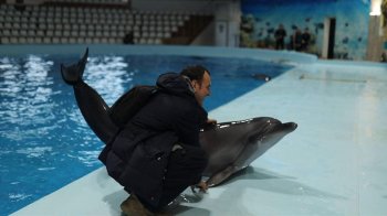 Програму реабілітації для ветеранів на Львівщині продовжили на 2025 рік