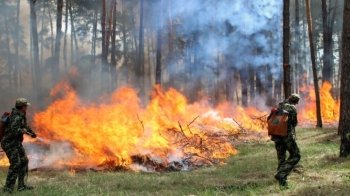 На Львівщині очікують пожежонебезпечний період: що заборонено робити