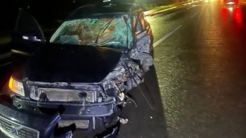 В ДТП на Стрийщині травмувалися четверо людей — серед них 6-річний хлопчик