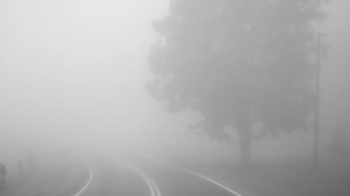 Густий туман і погана видимість на дорозі: синоптики застерегли мешканців Львівщини