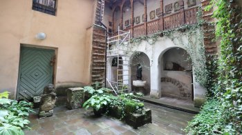 Одного з найстаріших львівських левів виставили для огляду на площі Ринок