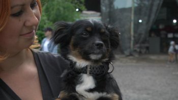 Фото - Суспільне