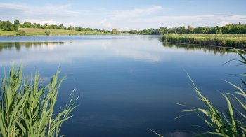 На Львівщині 35-річна жінка затонула в ставку