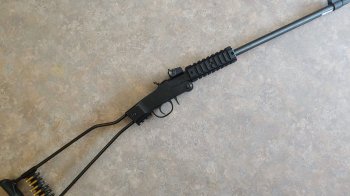 Суд конфіскував в мешканця Львівщини мисливський карабін з патронами на потреби ЗСУ