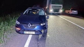 У селі поблизу Камʼянка-Бузької водій Renault на смерть збив пішохода