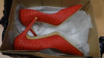 Українець намагався вивезти до Польщі взуття та одяг зі шкіри пітона