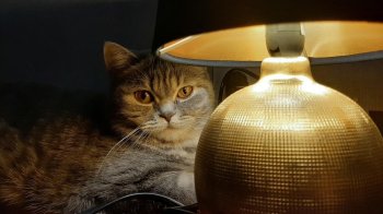 Графік відключень світла на Львівщині у неділю, 8 листопада