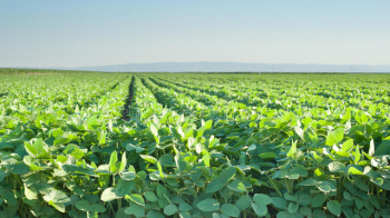 Громаді на Золочівщині повернули земельну ділянку площею понад 32 га
