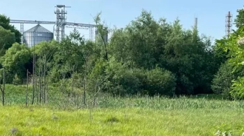 Виробник олії прибдав на аукціоні землю в Ставчанах за понад мільйон грн