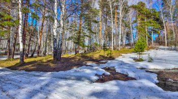 Морозна ніч і весняне тепло вдень: прогноз погоди для Львівщини на 9 березня