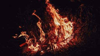 У Рава-Руській рятувальники ліквідували пожежу сухостою