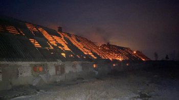 На Харківщині внаслідок обстрілу загорілася ферма з тваринами