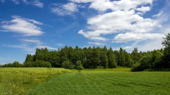 Львівська прокуратура відстояла право Інституту біології тварин на користування 315 га землі