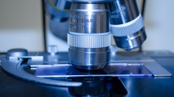 Новий штам коронавірусу: світові медики скликають термінову зустріч