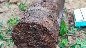 На Львівщині під час збирання грибів знайшли артилерійський снаряд: піротехніки знищили боєприпас