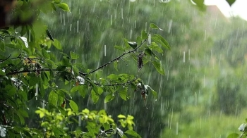 На Львівщині 5 серпня очікуються значні короткочасні дощі та грози