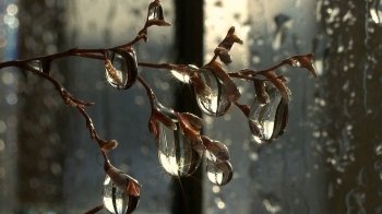 Сніг, дощ та вітер: синоптики оголосили штормове попередження на Львівщині