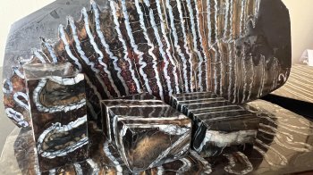 Львів’янин намагався відправити за кордон частини зубів мамутів