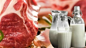 На Львівщині підприємство відшкодувало 4,2 млн грн несплачених податків