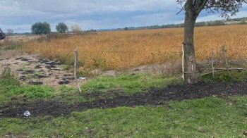 Львів через суд повертає 15 гектарів землі, яку орендар засіяв соєю