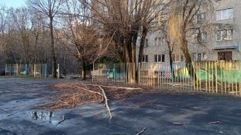 Ніхто не ліквідував наслідки буревію: львів’яни скаржаться на комунальників, які 2 місяці не прибирають повалені дерева