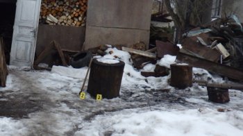 За жорстоке вбивство кота брата мешканець Львівщини отримав підозру