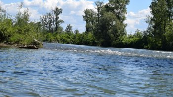 В Тисі потонув ще один чоловік