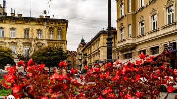 Куди піти у Львові та області 27-28 серпня: перелік подій