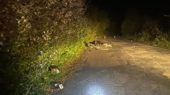 На Яворівщині зіткнулися два мотоцикли: загинув 16-річний хлопець