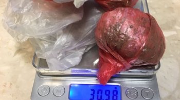 На кордоні затримали мешканця Львівщини, який намагався перевезти наркотики