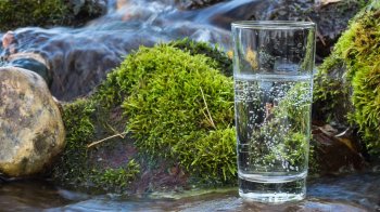 Свіщов і Фіала розширюють контроль над родовищами на Львівщині