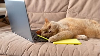 Осінні вихідні: 5 фільмів про осінь