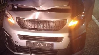У Львові водій Peugeot на смерть збив пішохода
