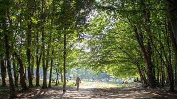 Парк Горіховий Гай