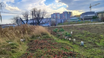 Продаються п’ять земельних ділянок у Львові: аукціон 17 лютого